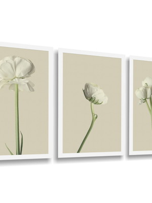 Quadro decorativo flores brancas com 3 peças com moldura