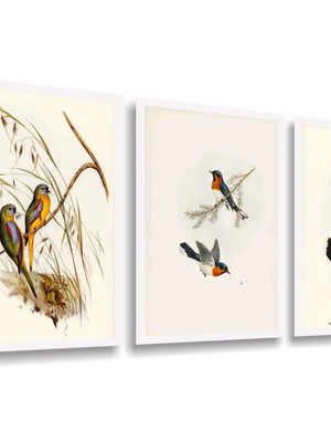 Quadro decorativo para interiores pássaros moldura branca