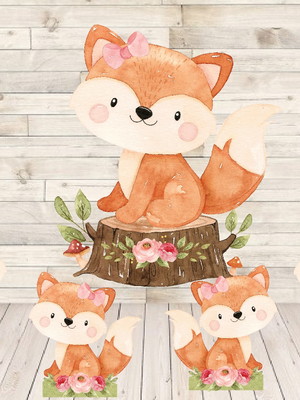 Kit displays raposa