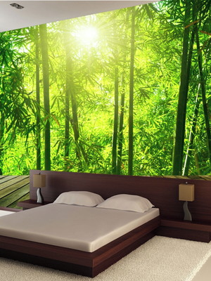 Adesivo parede paisagem bambu floresta natureza gg422