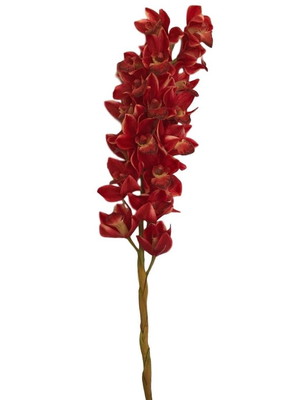 1 orquidea vermelha + 6 folhas artificiais cimbídio real