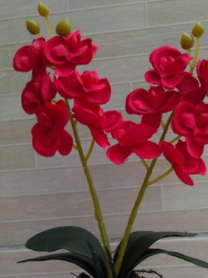 Arranjo orquídea v artificial pequena!