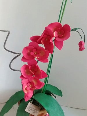 Arranjo de orquídea