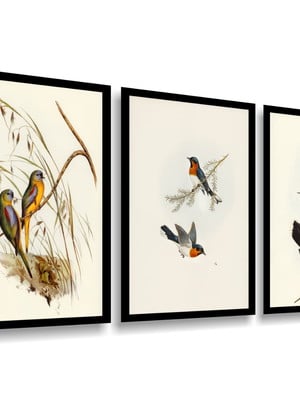 Kit 3 quadros decorativos pássaros para sala quarto moldura