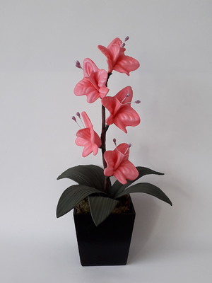 Arranjo de flores - orquidia