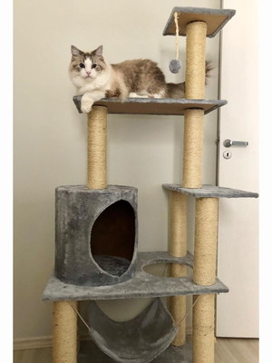 Arranhador de gato harem gigante