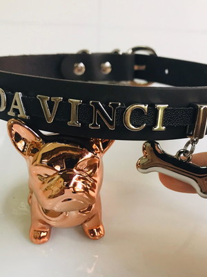 Coleiras personalizadas pet