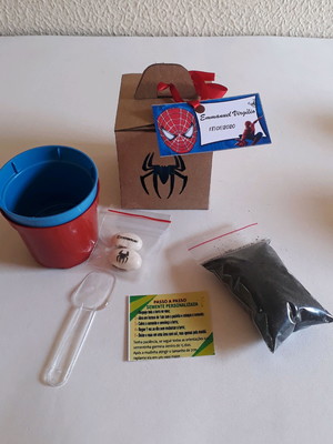 Lembrancinhas homem aranha com semente personalizada .