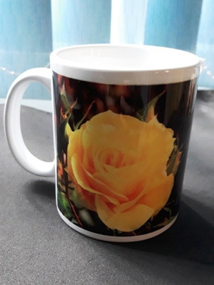 Caneca porcelana 330ml personalizada com sublimação