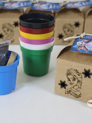 Kit cultivo kraft com semente personalizada - tema frozen