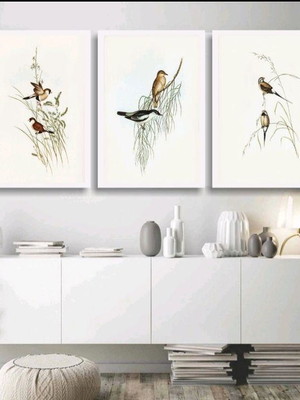 Quadro decorativo pássaros com moldura branca