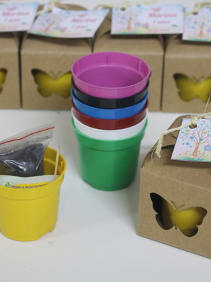Kit kraft com sementes de flores - jardim das borboletas