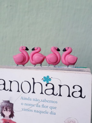 Kit clips de biscuit - flamingos
