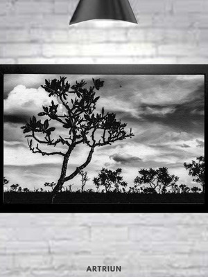 Quadro decorativo 40x26cm fotografia pb paisagem