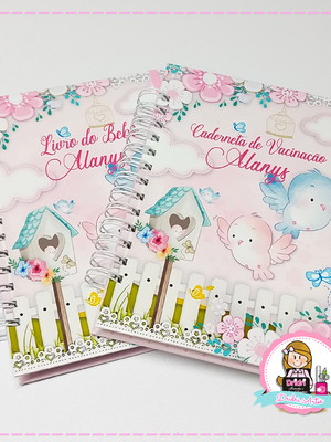 Livro do bebê e caderneta de vacinação
