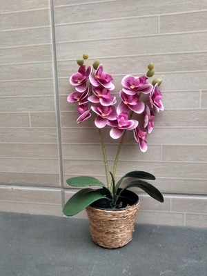 Arranjo orquídea uva artificial pequena!