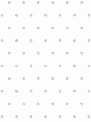 Papel de parede balões ( denise o. s. romano )
