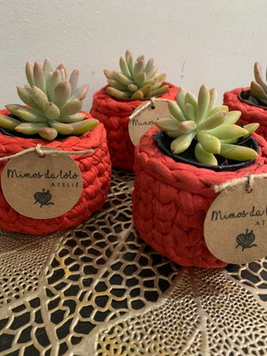 Mini cachepôs