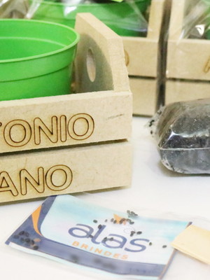 Kit cultivo caixote 6mm com gravação - fazendinha eco