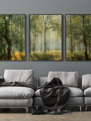 Quadro decorativo floresta - com vidro