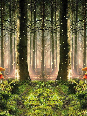 Painel tecido sublimado 3d floresta encantada 3x2,5m