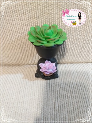 Vasinho bob com suculentas