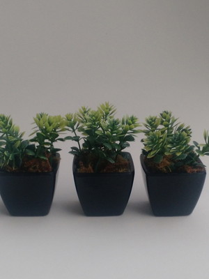 Trio de mini arranjo com folhagens