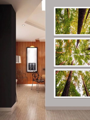 Kit 3 quadros florestas verde decoração vertical com moldura