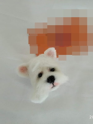 Cachorrinho