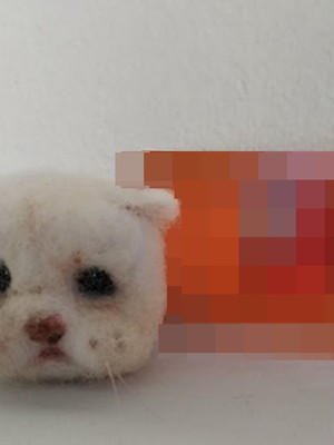 Gatinho