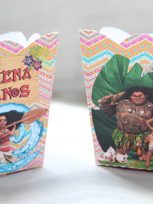 Cachepô moana