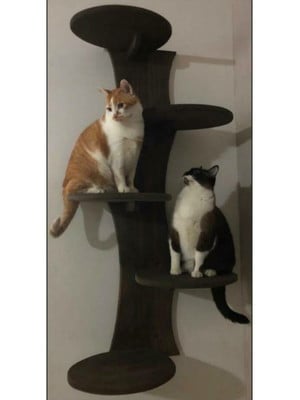 Árvore para gato escurecida