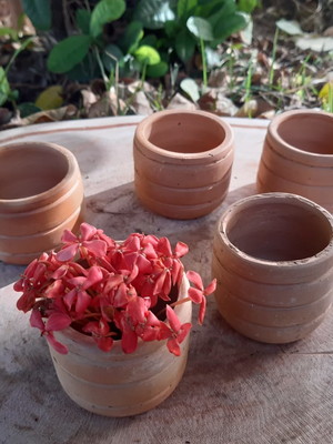5 vasos pote de barro rustico para cactos suculentas mini