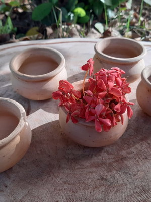 5 vasos pote de barro rustico para cactos suculentas plantas