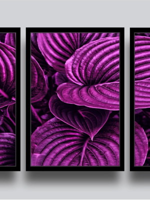 Kit 3 quadros decorativos botânico folhas roxas com moldura