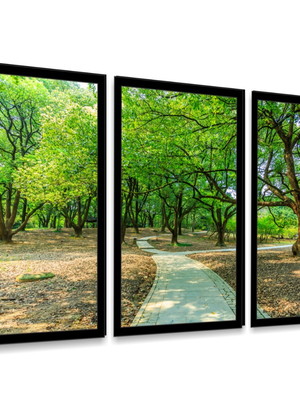 Kit 3 quadros arvores florestas natureza decoração molduras
