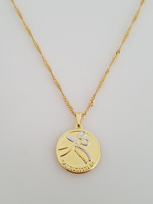 Corrente pingente cabeleireiro folheado ouro 18k. c1p100