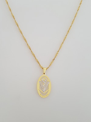 Corrente pingente veterinária folheado ouro 18k. c1p114