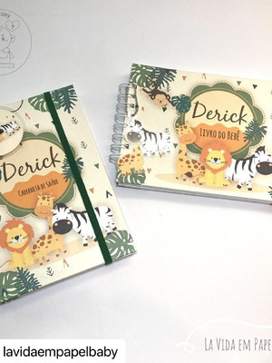 Kit caderneta de saúde + livro do bebê