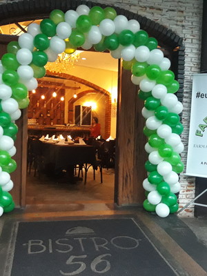 Arco de bexiga em loja - festas