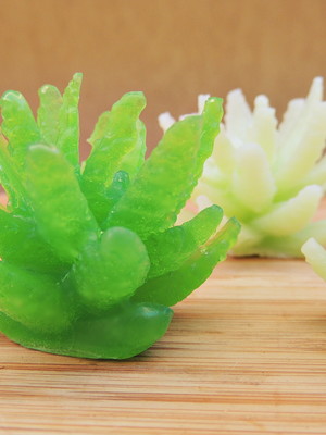 Sabonete suculenta aloe