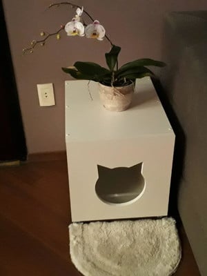 Banheiro para gatos,casa caixa de areia