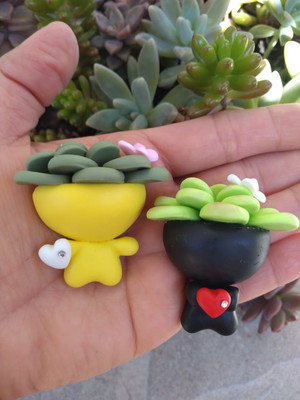 Imã vasinho bob com suculentas