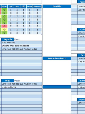 Planilha excel planner semanal com checklist mude de vida
