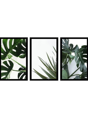 Quadro folhas verdes moldura preta
