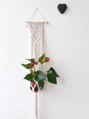 Empatia! suporte para plantas em macramê