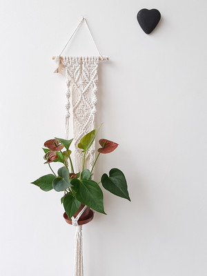 Liberdade!!! suporte para plantas em macramê
