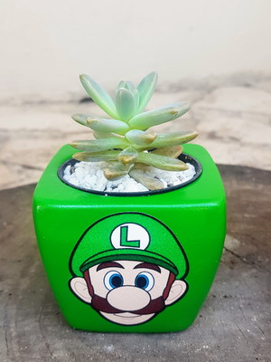 Super mario bros - luigi cachepô vaso para suculentas