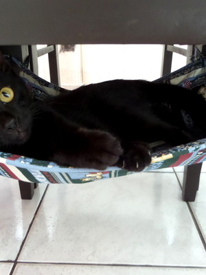 Rede de tecido para gato