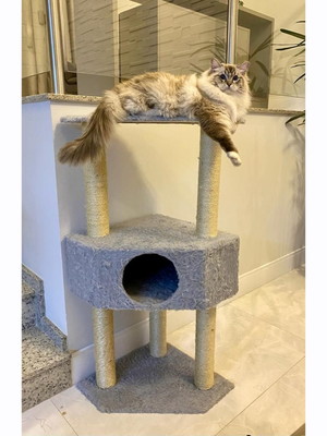 Arranhador de gato infinity gigante